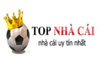 Top trang nhà cái cá cược uy tín nhất hiện nay nhà cái uy tín